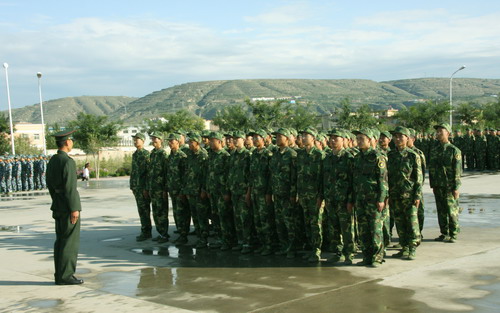 ˬӢ-ŷ½2008ѵӰ