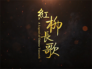 衡