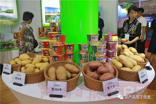 中国农产品加工业投资贸易洽谈会6日在驻马店开幕